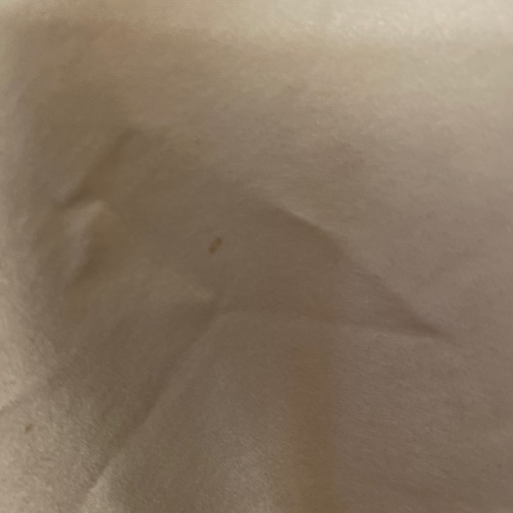 Ann Taylor Gold Silk Beaded Sleeveless Blouse - Picture 9 of 10